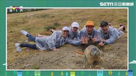 圖/綜藝玩很大 提供