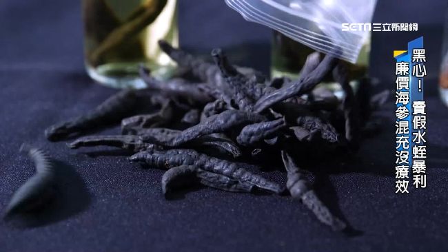 價差數倍沒療效！海參干混充中藥水蛭