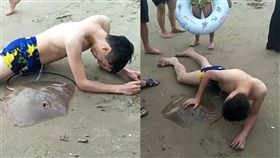 三亞灣,魟魚,魔鬼魚,大陸,海南,生殖器,攻擊,海灘　圖／翻攝自微博