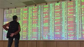 台股開高走高（1）台北股市3日開高走高，收盤漲82.66點，為11012.43點，收復11000點關卡，漲幅0.76%，成交金額新台幣1344.29億元。中央社記者董俊志攝　107年8月3日