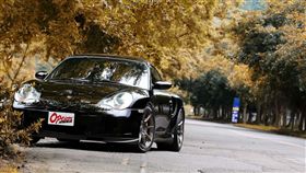 Porsche 996T(圖/車訊網)
