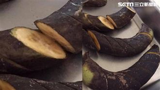 餐點給「爛食」害童腹瀉　幼兒園致歉