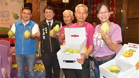 不受豪雨影響　斗六文旦甜度高