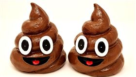 高雄,鄰居,大便,公然侮辱,便溺（圖／翻攝pixabay）