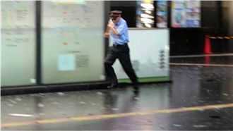 燕子肆虐日本　台灣18旅行團回不來