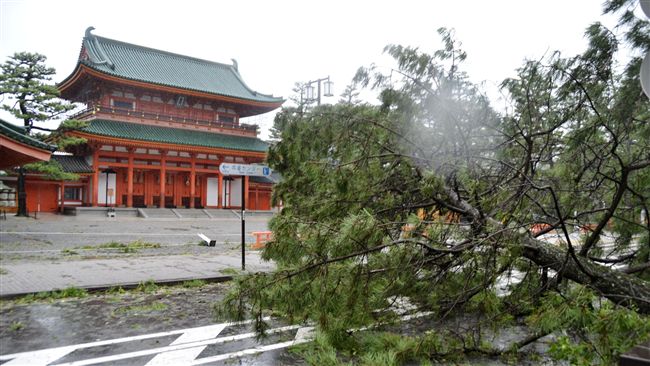 燕子搗亂　旅行社：尋找替代航班返台