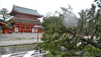 燕子搗亂　旅行社：尋找替代航班返台