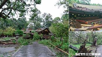 京都多處神社災情慘　伏見稻荷也遭殃