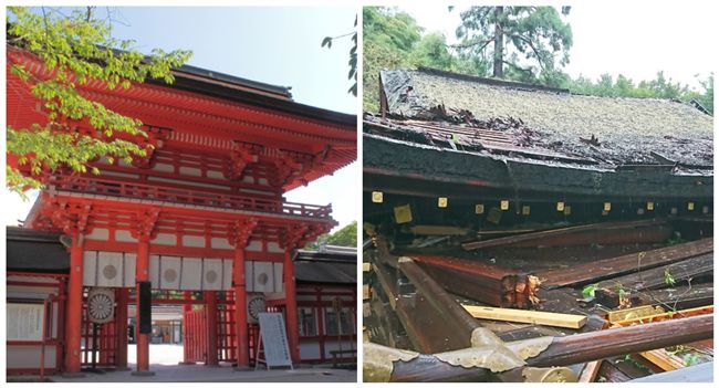 25年最強颱！京都古蹟慘遭「毀容」