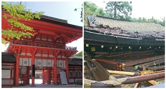 25年最強颱！京都古蹟慘遭「毀容」
