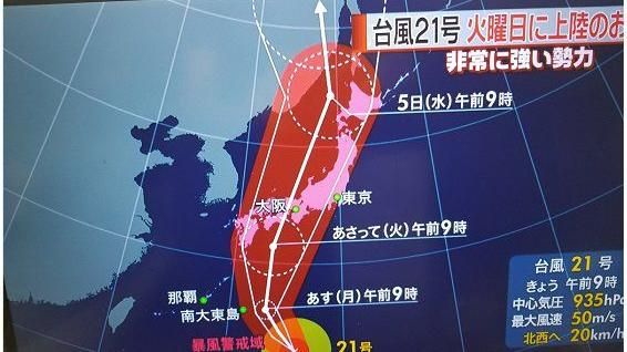 影／網友絕望哭：燕子絕對想殺了日本