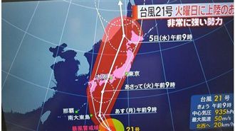 影／網友絕望哭：燕子絕對想殺了日本