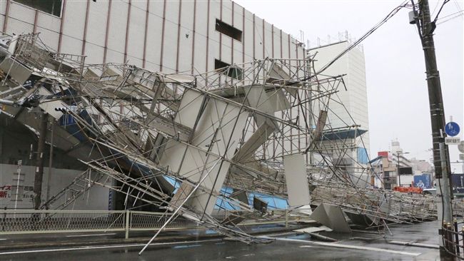 兇猛燕子襲日！累計11死600傷