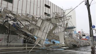 兇猛燕子襲日！累計11死600傷