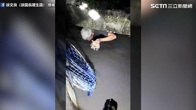 幼犬受困排水溝　熱心志工冒險救援