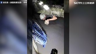幼犬受困排水溝　熱心志工冒險救援