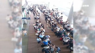 燕子撲日之亂　散客搶搭高速船快閃