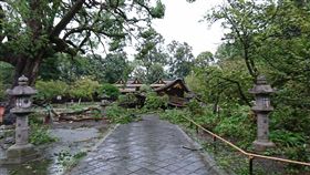 平野神社（圖／翻攝自平野神社推特）