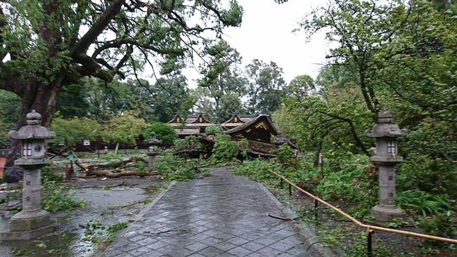 神社慘塌！京都公布31景點停止開放