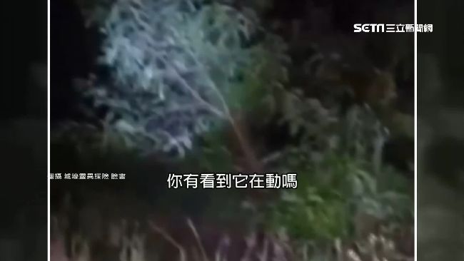 夜闖荒廢紙廠試膽　民眾嚇瘋：怎麼跑