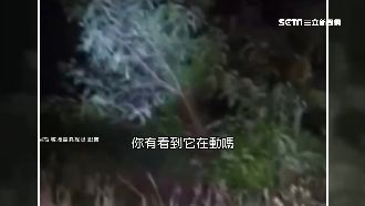 夜闖荒廢紙廠試膽　民眾嚇瘋：怎麼跑