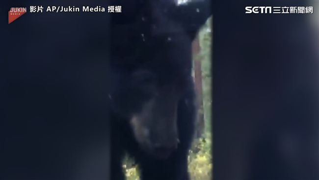 真實版熊麻吉！　好奇趴車窗耍萌