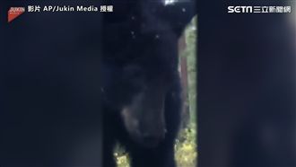 真實版熊麻吉！　好奇趴車窗耍萌