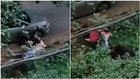 江西,狼犬,發狂,咬人（圖／翻攝自梨視頻）