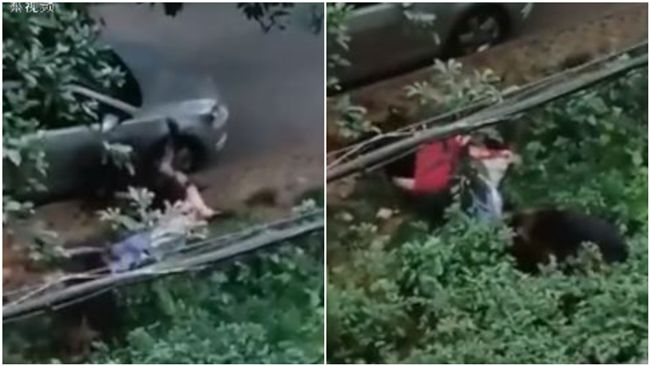 狼犬發狂撕咬鄰　目擊者：要死人了！