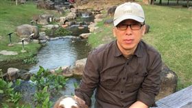 苦苓,翻攝自臉書