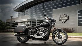 哈雷(圖/翻攝網路)