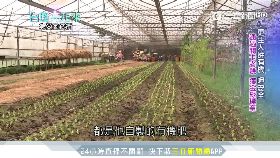 義籍插畫家(短)