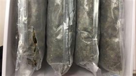 ▲斗內的大麻約種2.1公斤。（圖／翻攝自SarasotaPD推特）