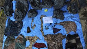 墨西哥,亂葬崗,毒梟,遺骸（圖／美聯社／達志影像）