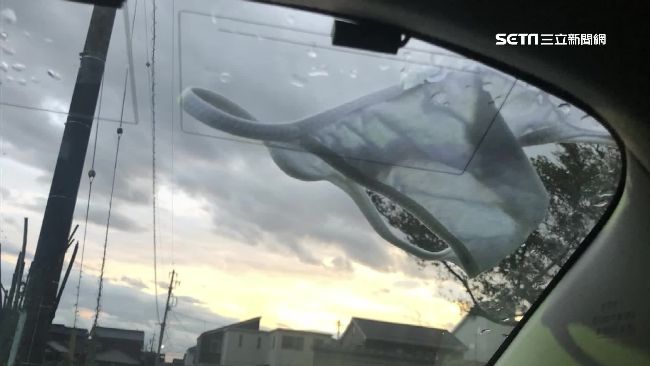 這隻「燕子」好色！旋風叼走女生內褲