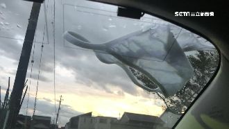 這隻「燕子」好色！旋風叼走女生內褲