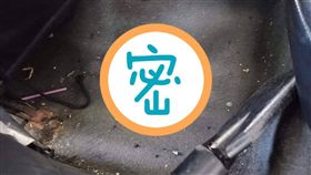 汽車美容發現螃蟹乾屍　圖／翻攝自爆料公社一日小編臉書