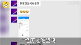 ▲家有老鼠求外援　女：經歷過絕望嗎？（圖／翻攝自梨視頻）