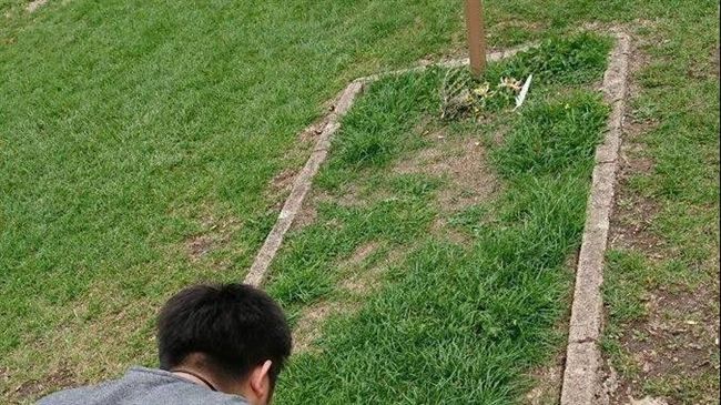 手遊著迷　他竟赴英國求女主角幫抽卡