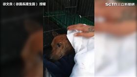 狗狗被綑綁裝進布袋丟棄橋下