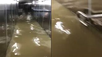 東門捷運站也濕搭搭　捷運可正常行駛