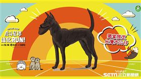 戽斗星球,路跑。（圖／主辦單位提供）