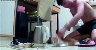 惡男狠摔虐死家貓⋯遭警逮捕依法送辦