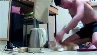 惡男狠摔貓咪活活虐死　網友氣炸肉搜