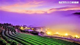 三芝田心鱷魚島,農村,新北市景點