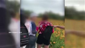 疑帶團踩金針花拍照 導遊槓上遊客起口角
