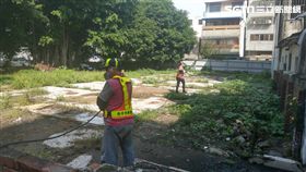 登革熱,網路謠言,致死,台中市衛生局