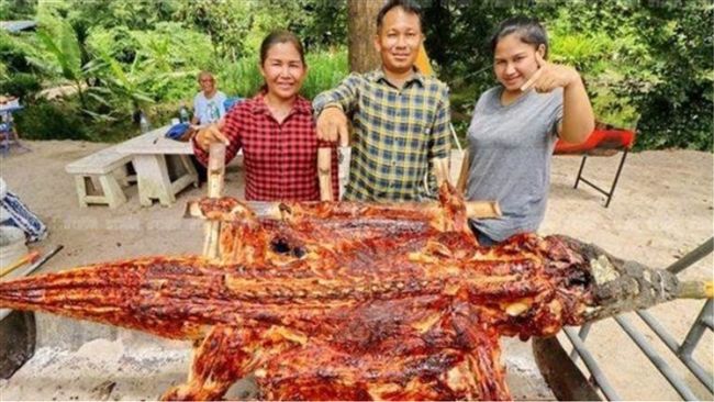 養鱷魚沒賺頭！他轉行賣…意外爆紅