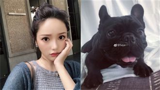 惡網紅護狗踹孕婦　詛咒「趕緊去死」