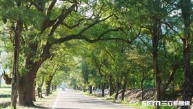 台東。（圖／記者馮珮汶攝）